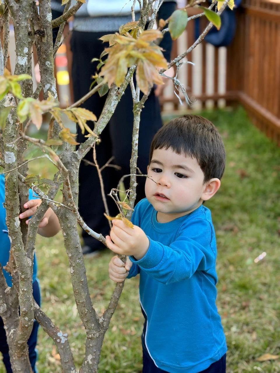 Criança explorando a natureza no pátio da escola